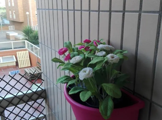 Secondlove * Порту