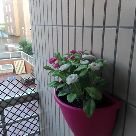 Secondlove * פורטו